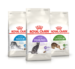 Royal Canin Gato Adulto