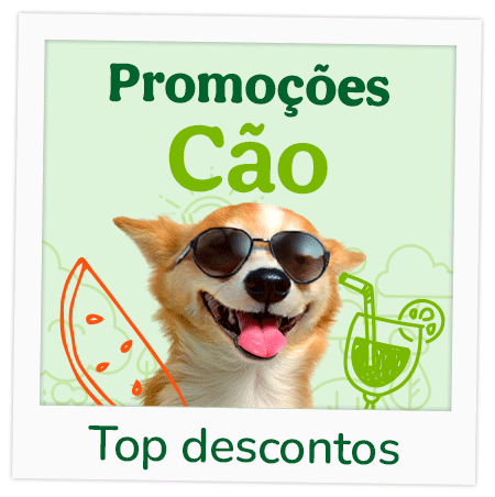 Promoções para cão