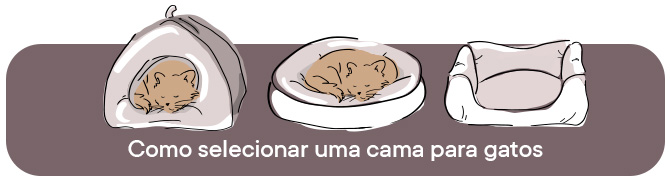 Como selecionar uma melhor cama felina