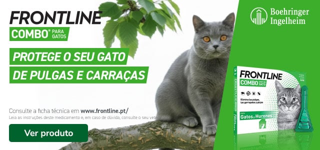 Frontline e Frontpro: Antiparasitários para gato.