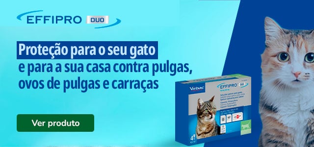 Effipro Duo: Produtos antiparasitários para gato.