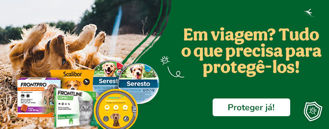 Vai viajar? Tudo o que precisa para protegê-lo