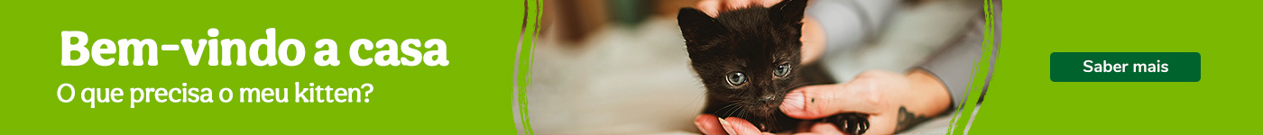 Tudo o que precisa o seu gatinho