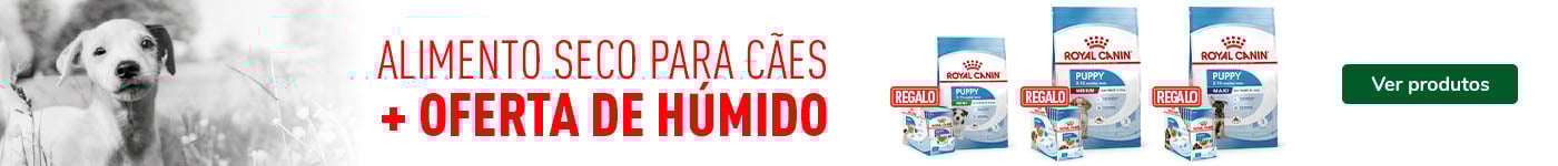 Royal Canin: Ração para cão com húmidos de oferta.