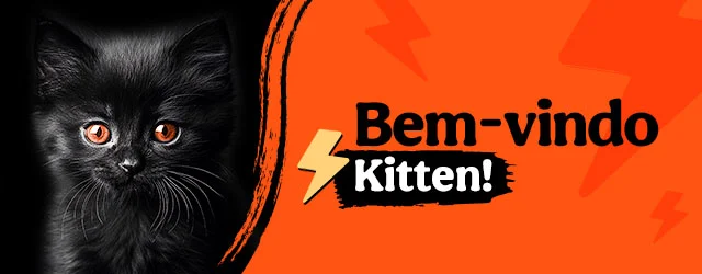 Os produtos essenciais para receber em casa o novo gatinho