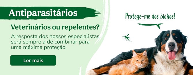 Descubra a melhor forma de proteger o seu Amigo