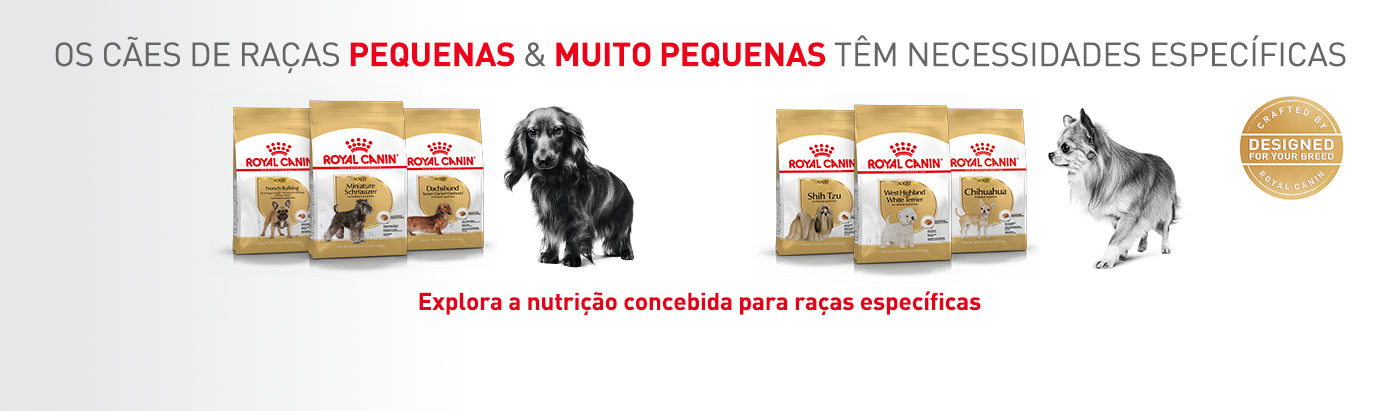 Royal Canin Raças. Os cães de raças pequenas e mini têm necessidades únicas.