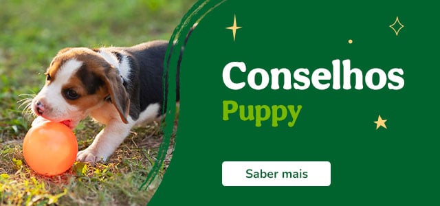 Conselhos Puppy
