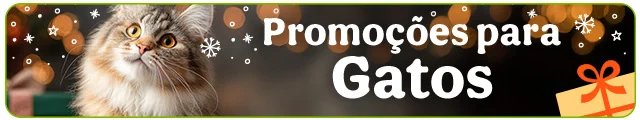 Todas as promoções gato