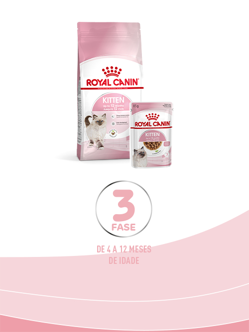 Royal Canin Gatinho