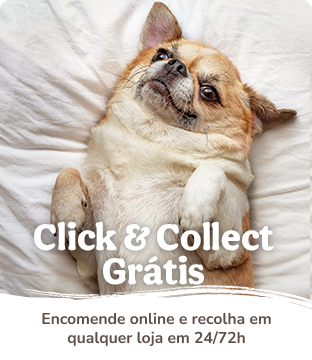 Click & Collect grátis