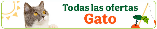 Todas las ofertas gato