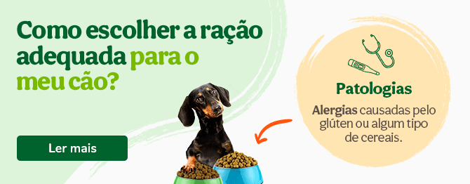 Como escolher a ração adequada para ele?