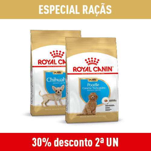 Especial raças cão