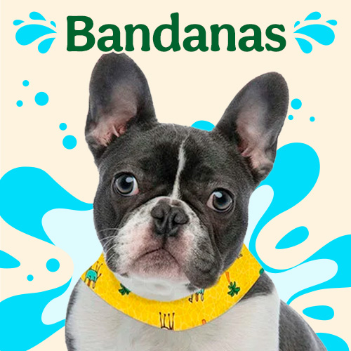 Bandanas