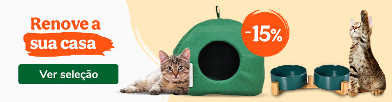 Renove com os melhores acessórios para gatos