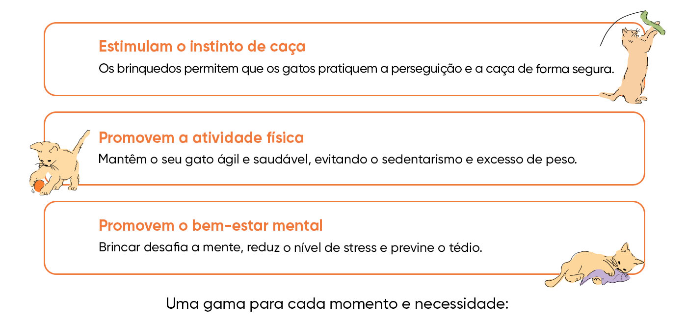 Porque é que os gatos precisam de brinquedos? Ajuda-os a estimular o seu instinto, a mantê-los ágeis e a promover o seu bem-estar mental.