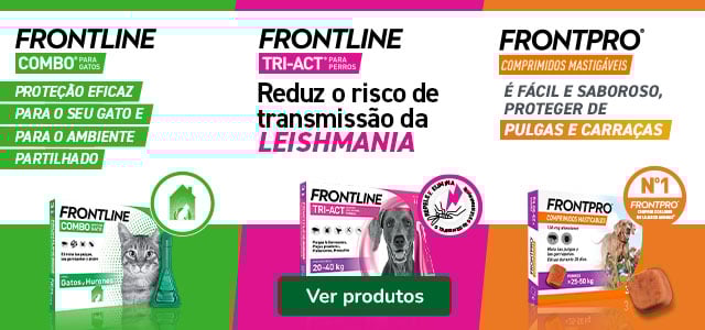 Proteção total com Seresto, Advantix e Adtab para o seu patudo!