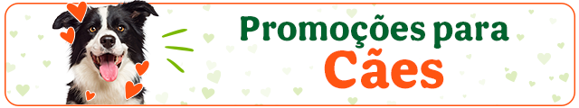 Todas as promoções cão