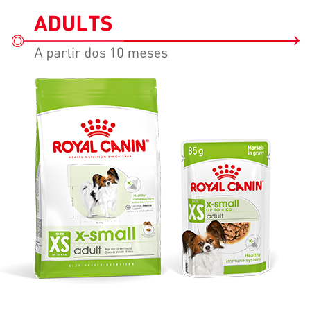 Royal Canin X-Small Adult: alimento seco completo e alimento húmido para cães adultos de raças de porte muito pequeno.