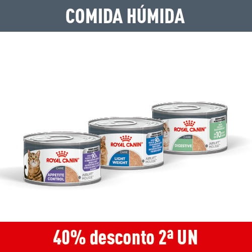 Comida húmida gato