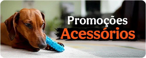 Promoções em Acessórios