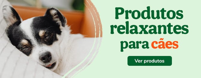 Relaxantes para cães