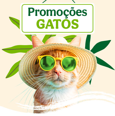 Promoções  para Gato