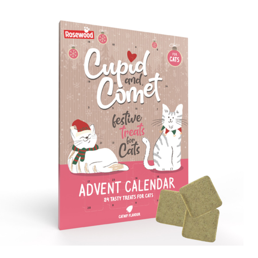 Rosewood Calendário do Advento para gato