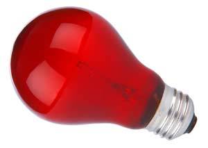 LÃ¢mpada Nightlight Red para terrÃ¡rios