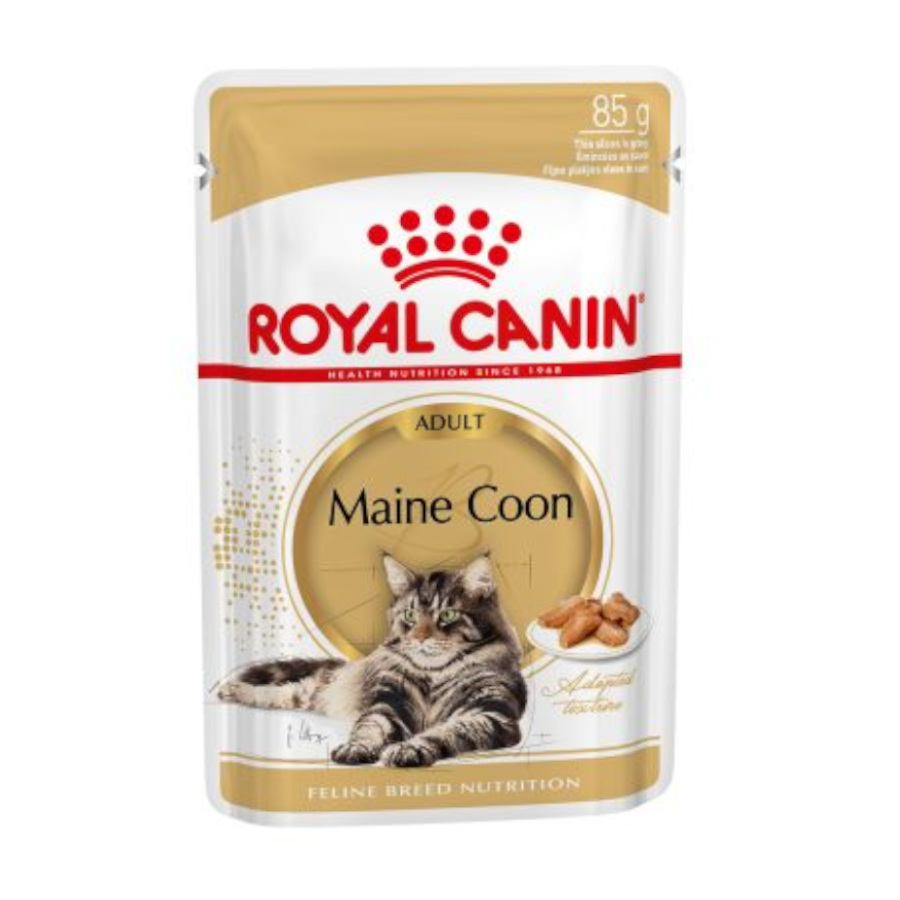 48 saquetas x 85 g Royal Canin Maine Coon alimento húmido para gatos Pack poupança!