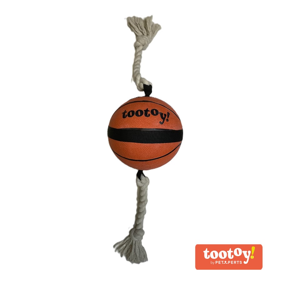 Tootoy! Chase Large Basketball bola para cães