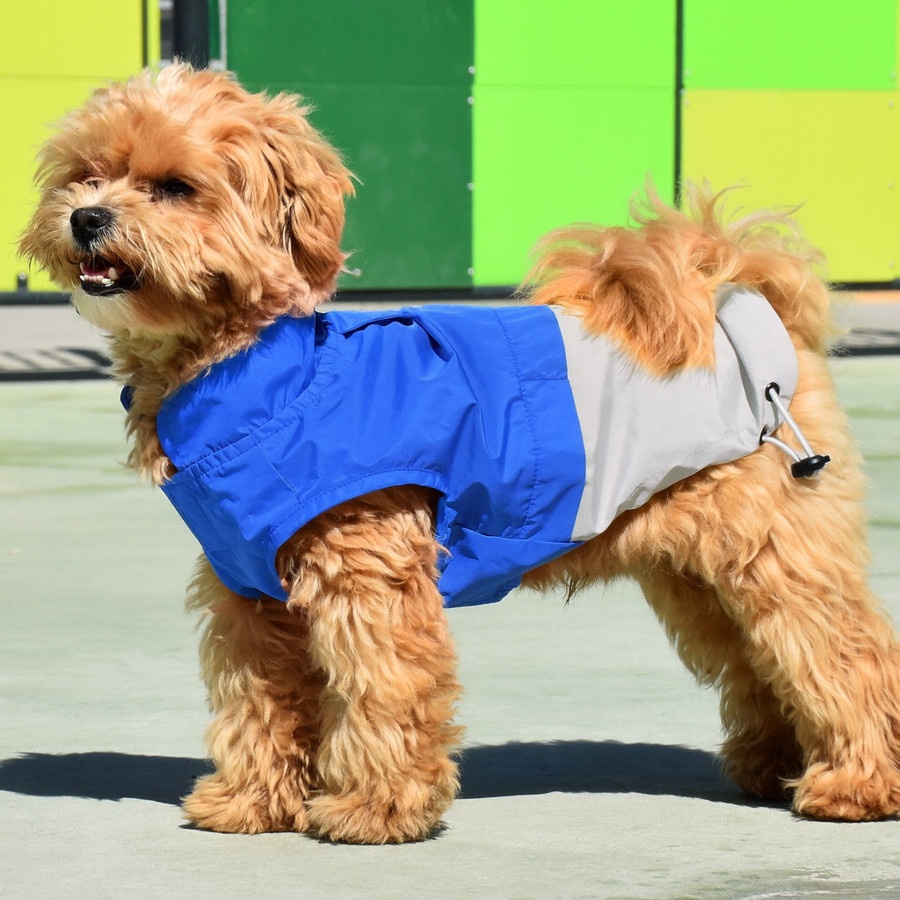 Nayeco X-TRM Capa de Chuva Azul e Cinzenta para cães