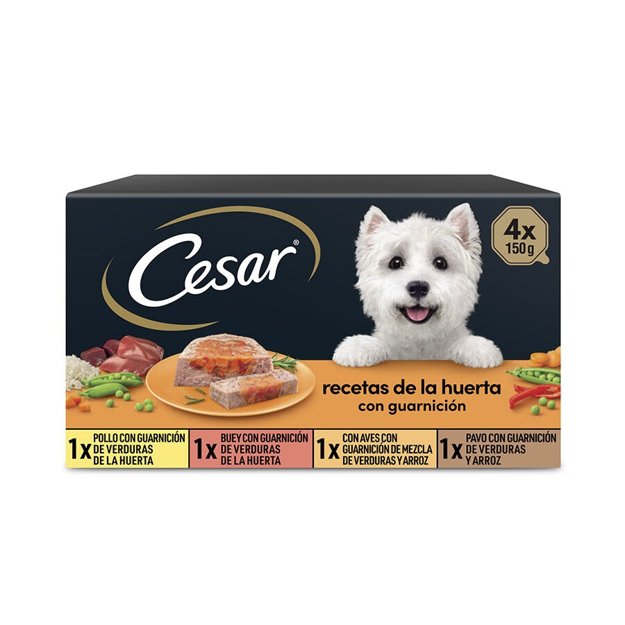 4 terrinas x 150 g Cesar Recetas da horta Terrina em Patê e Geleia para Cães - Multipack