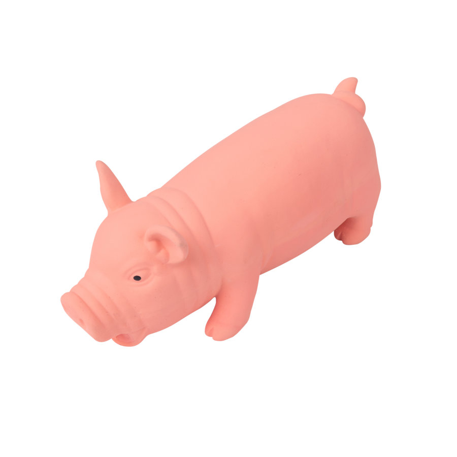 Tootoy! Chew Grunting Pig Mordedor para cães