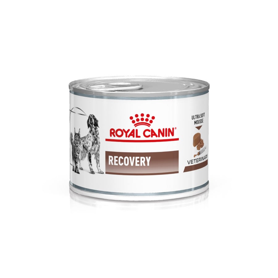 12 latas x 195 g Royal Canin Veterinary Recovery lata para gatos Pack poupança!