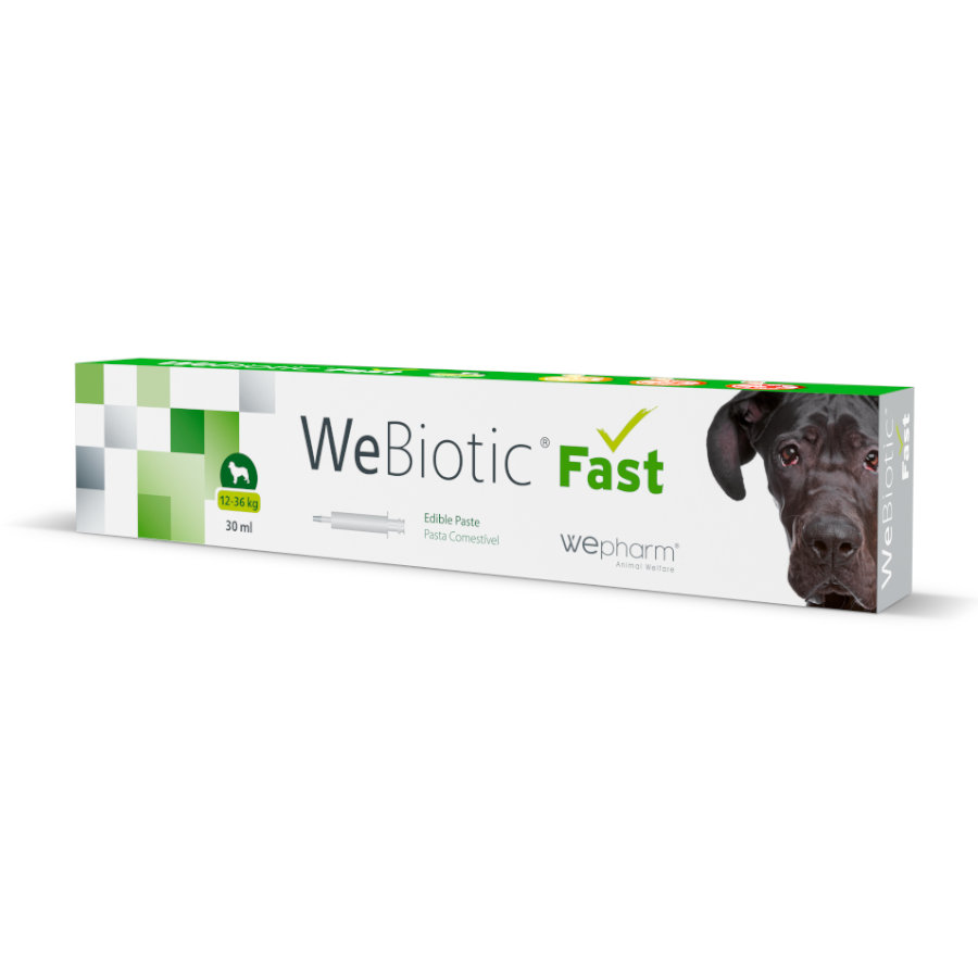 0.08 L Wepharm Webiotic Fast Suplemento para cães e gatos
