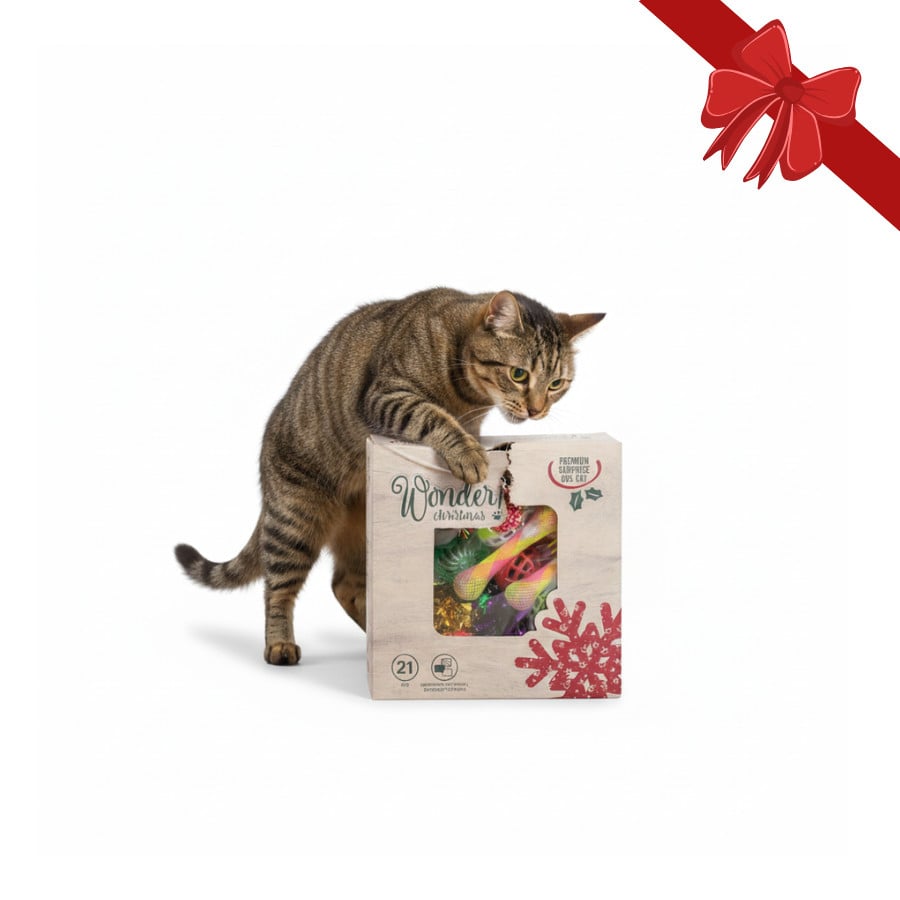 Wonder Christmas Caixa Surpresa de Brinquedos de Natal para Gatos