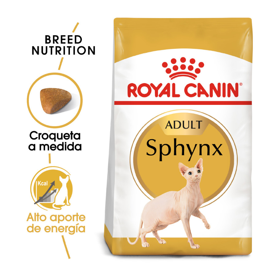 2 x 10 kg Royal Canin Adult Sphynx ração para gatos Pack poupança!