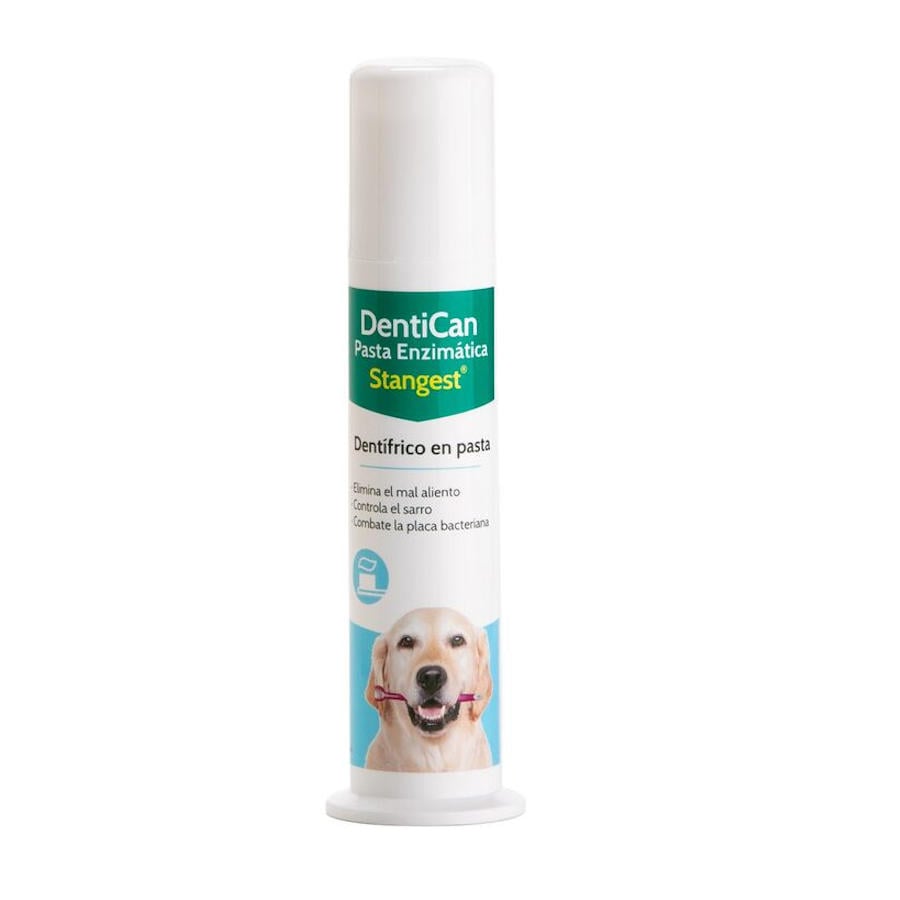 Stangest Dentican Pasta Dental para cães e gatos