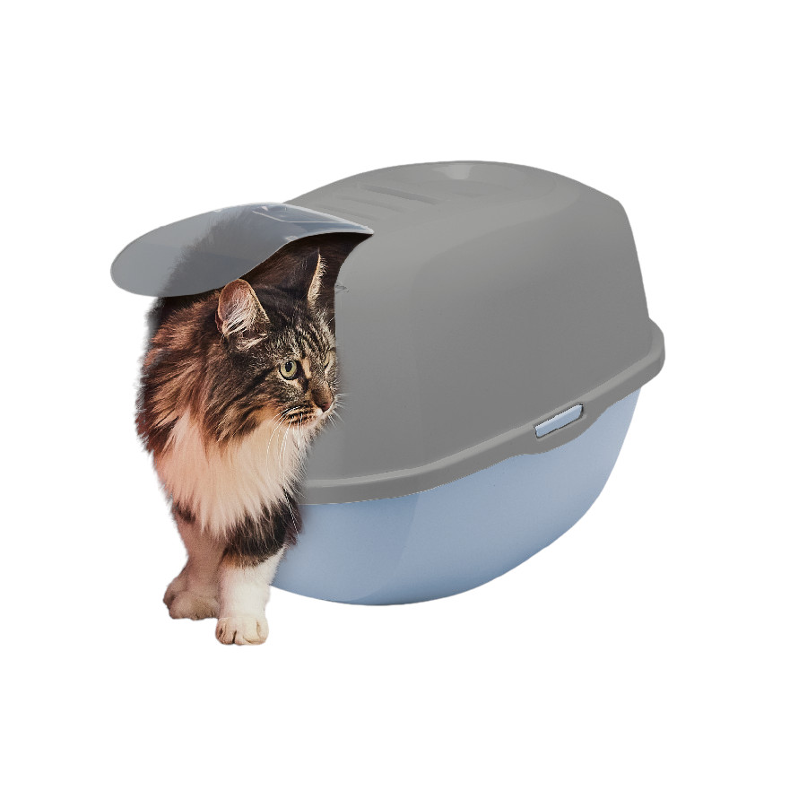 Nice Care Eco Caixa de areia Smart azul e verde para gatos