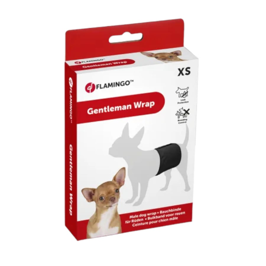 Flamingo fralda lavável para cães machos