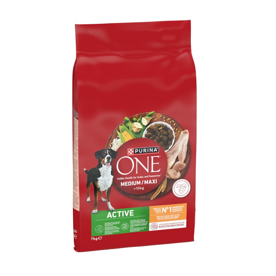7 kg Purina One Active Pienso Pollo para perros