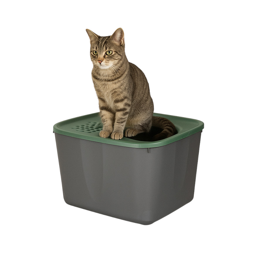Nice Care Eco Caixa de areia Micia verde para gatos