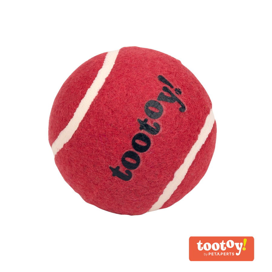 Tootoy! Chase Squeaker Ball Vermelha bola de ténis para cães
