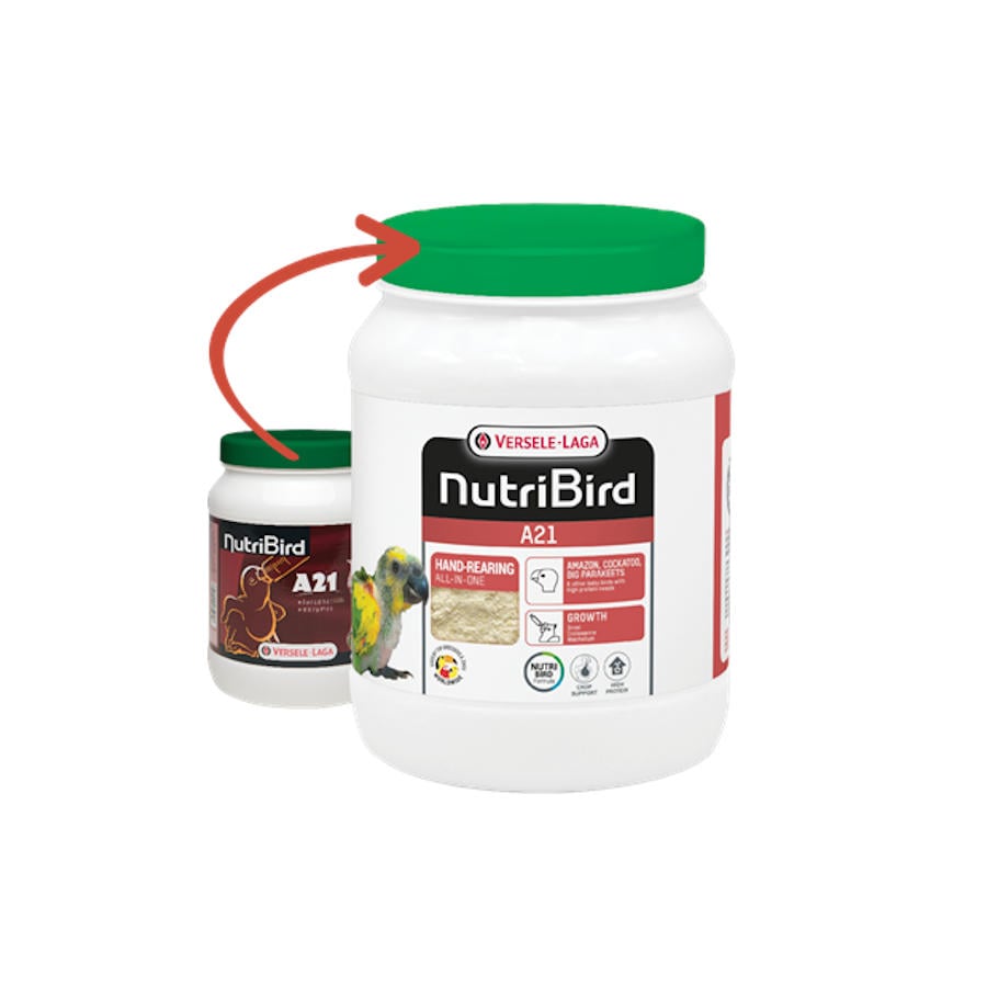 0.8 KG Versele-Laga Nutribird Papa para filhotes