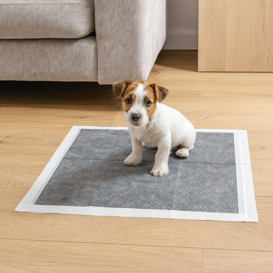 Nice Care Tapetes higiénicos com carbão ativado para cães