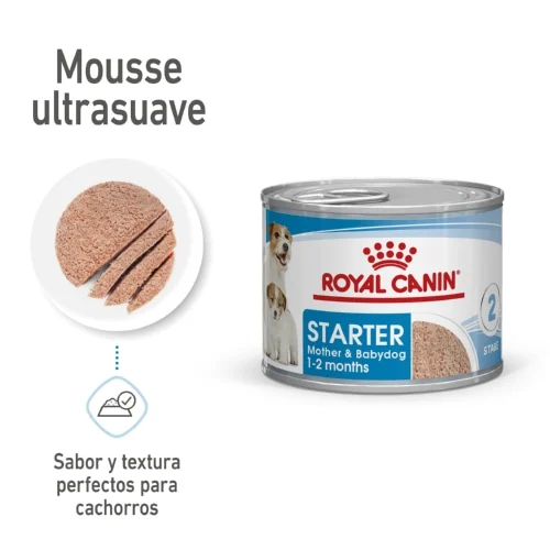 12 latas x 195 g Royal Canin Starter Mommy & Baby mousse latas para cães Pack poupança!