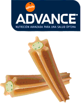 vara de cuidados dentÃ¡rios de adiantamento para cÃ£es