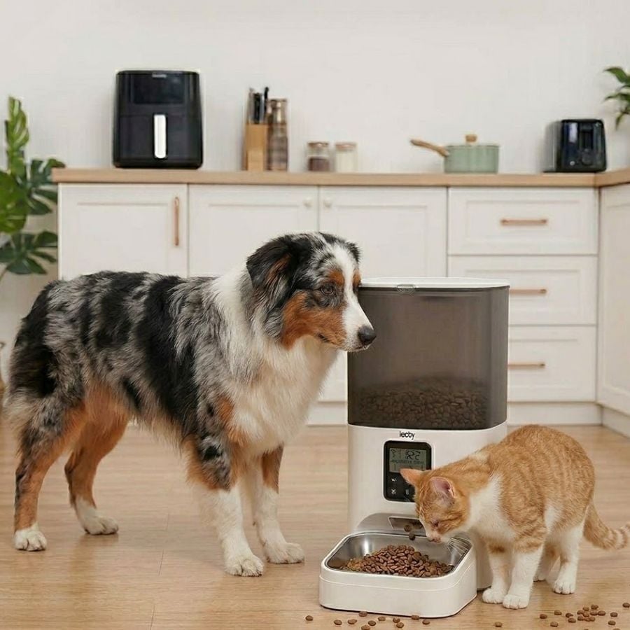 Leeby Comedouro Automático Programável Branco e Cinzento para cães e gatos